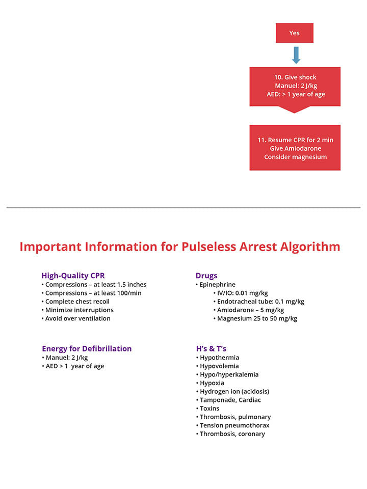 pulseless-arrest-algorithm.img