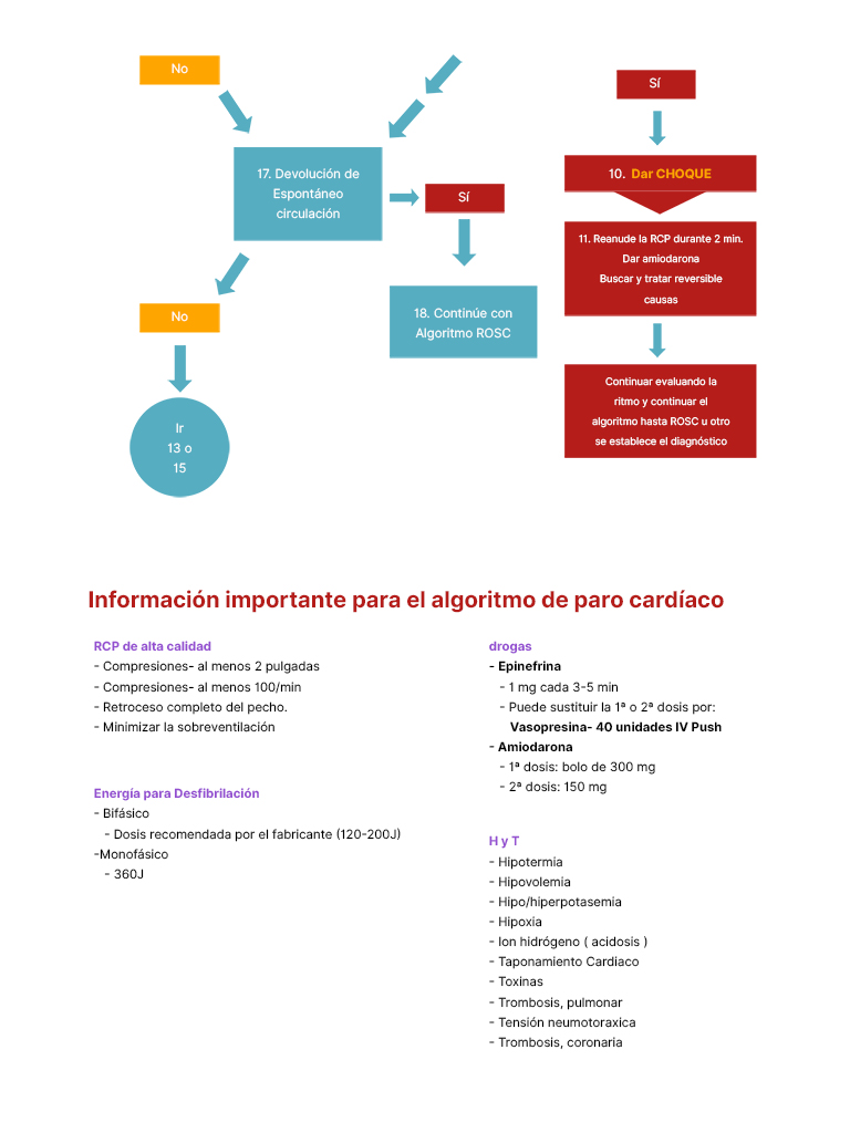 cardiac-arrest-algorithm-information-768x1024