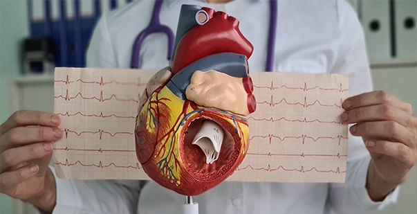 Atrial Fibrillation vs. Ventricular Fibrillation: Key Differences Explained